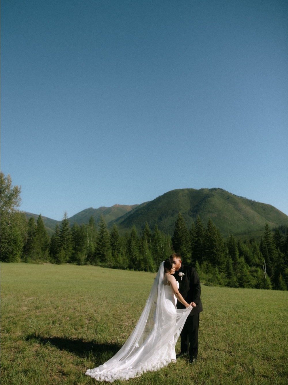 Elegant White Wedding Dress with Long Veil